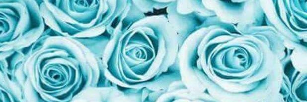 GuadaCoimbra01's profile banner image
