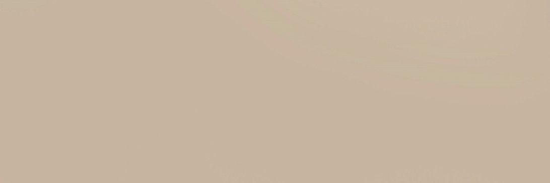 Katya Bychkova banner