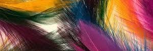 tickle1114's profile banner image