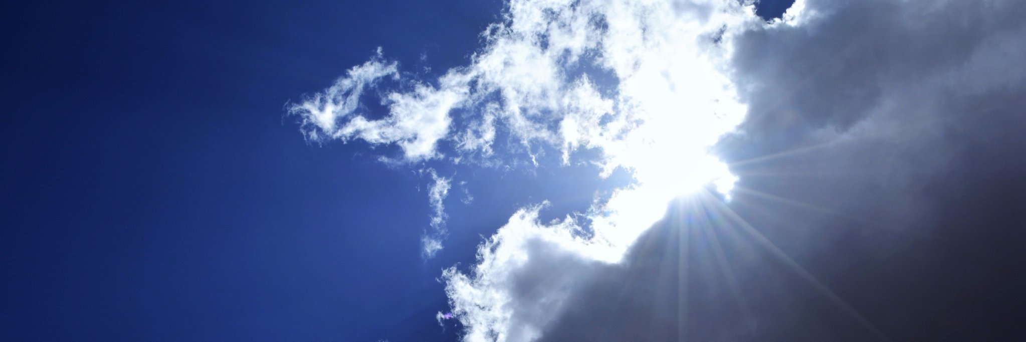 Scott 💉👍🫡🇺🇸🇺🇦🇵🇸 #NAFO #Resist banner