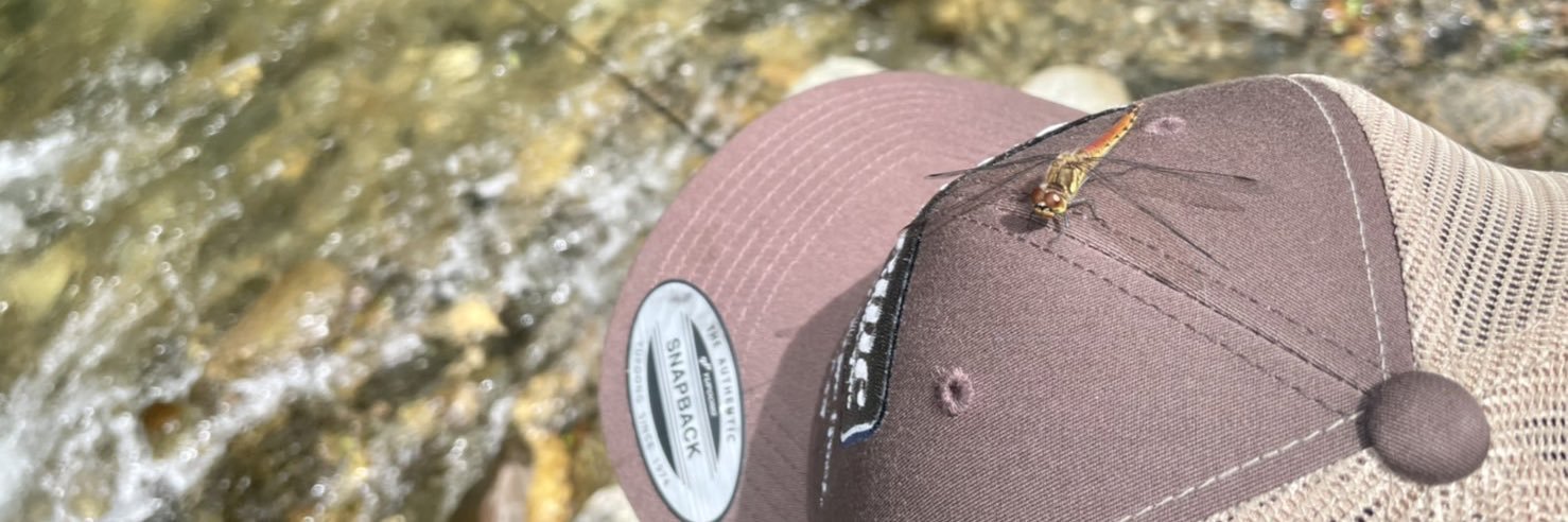 klxfishing's profile banner image