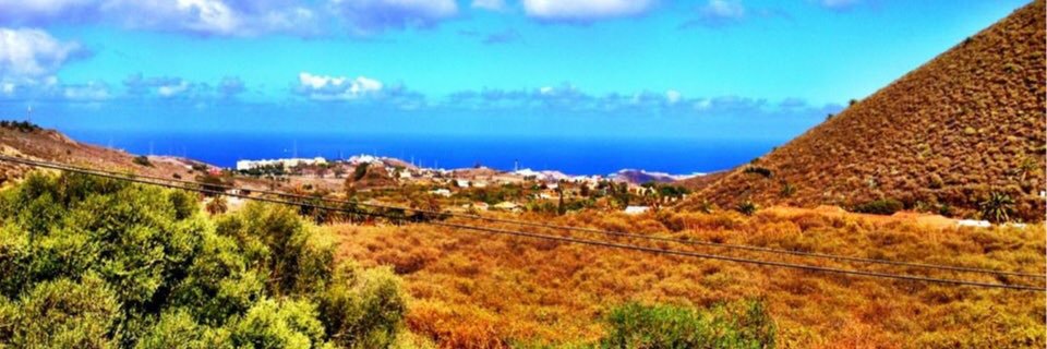 Brigitte Hidalgo banner