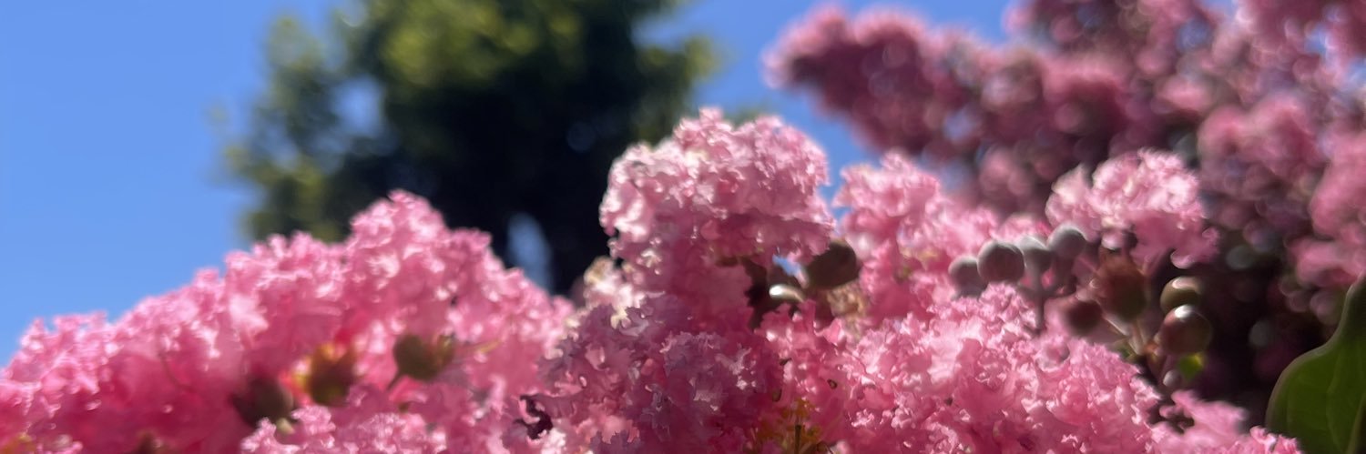 Licmym's profile banner image