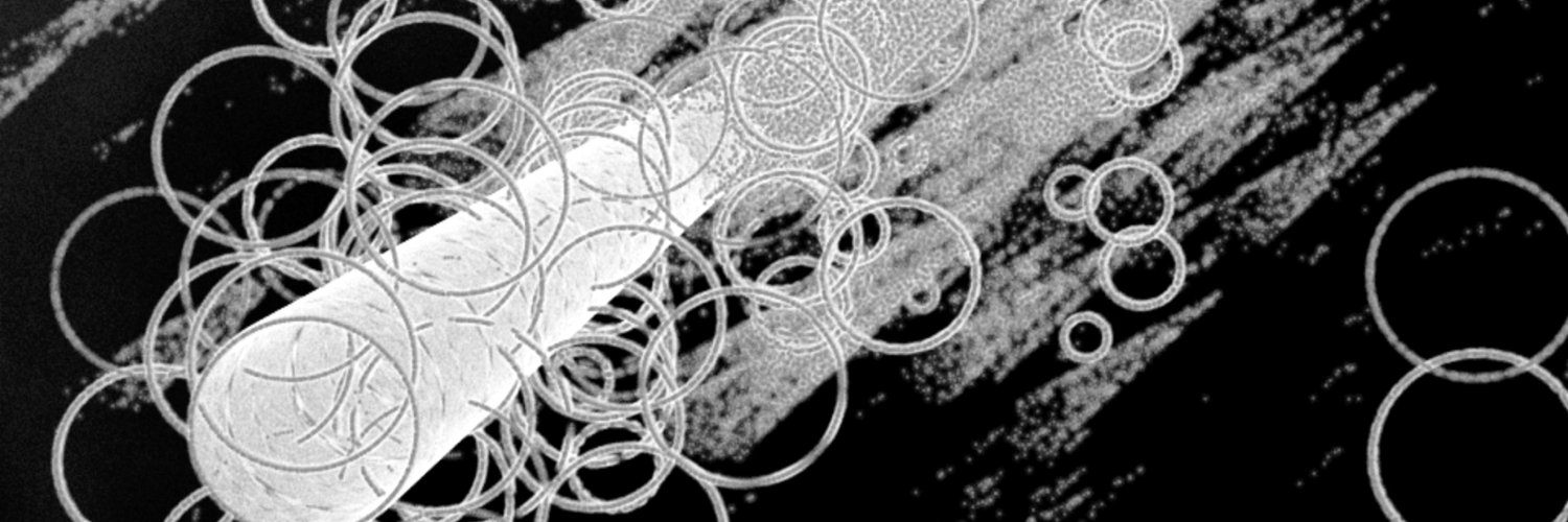 PelletierAuger's profile banner image