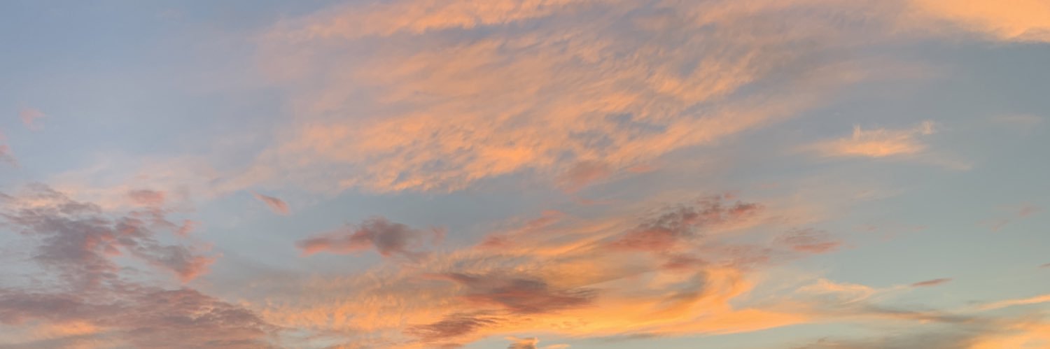 gilliancabrera's profile banner image