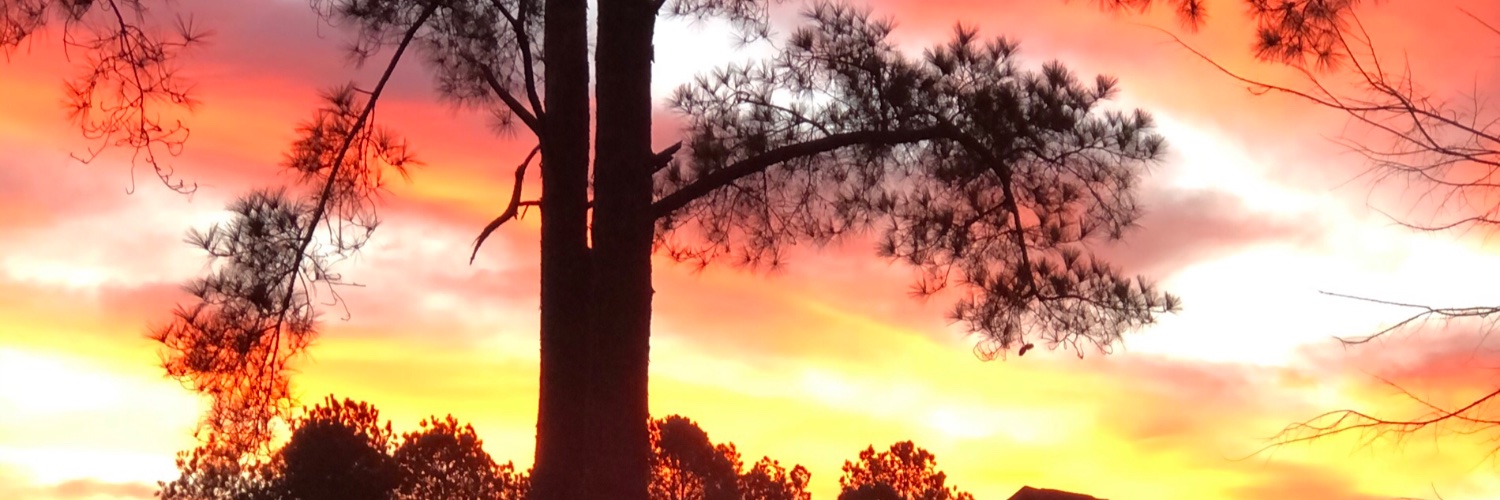zephyrroad's profile banner image