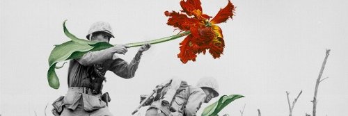 Nando ☮ banner