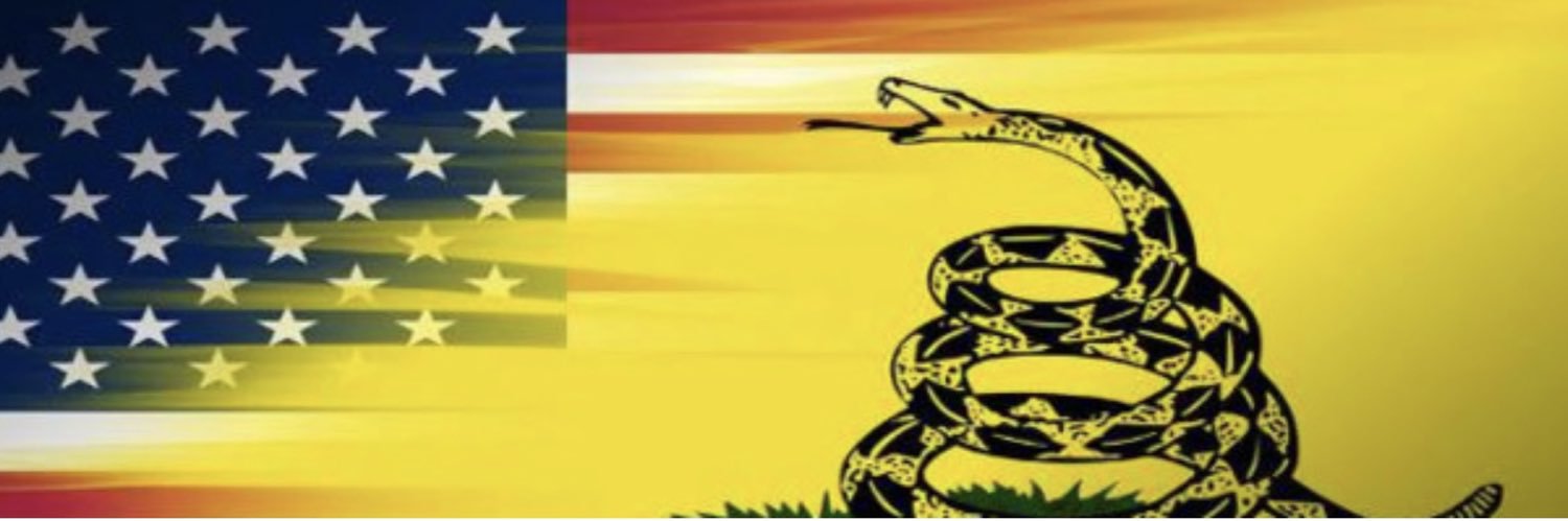 🇺🇸Will🇺🇸 banner