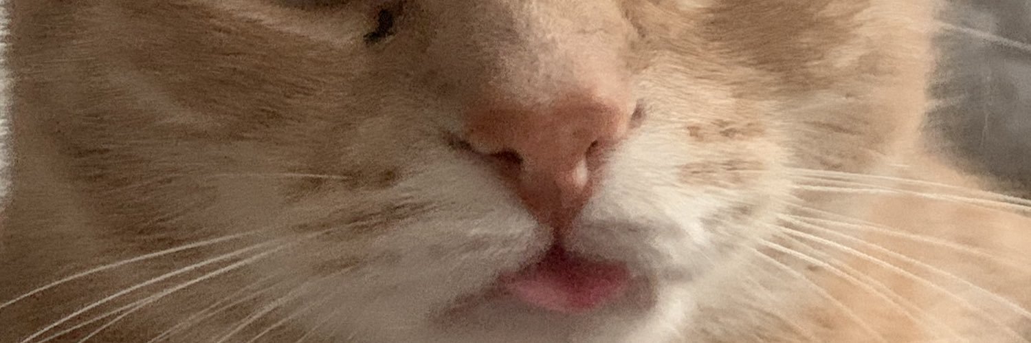 V banner