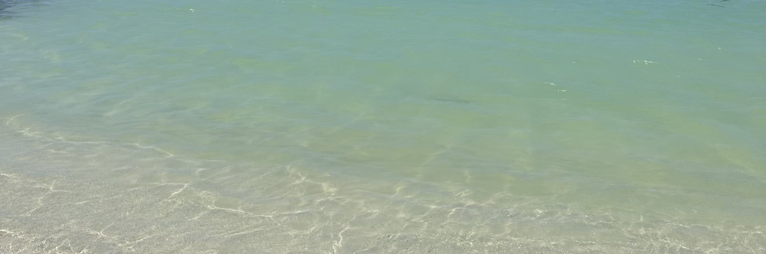 alaynaroseee's profile banner image