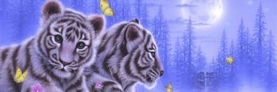 702131's profile banner image