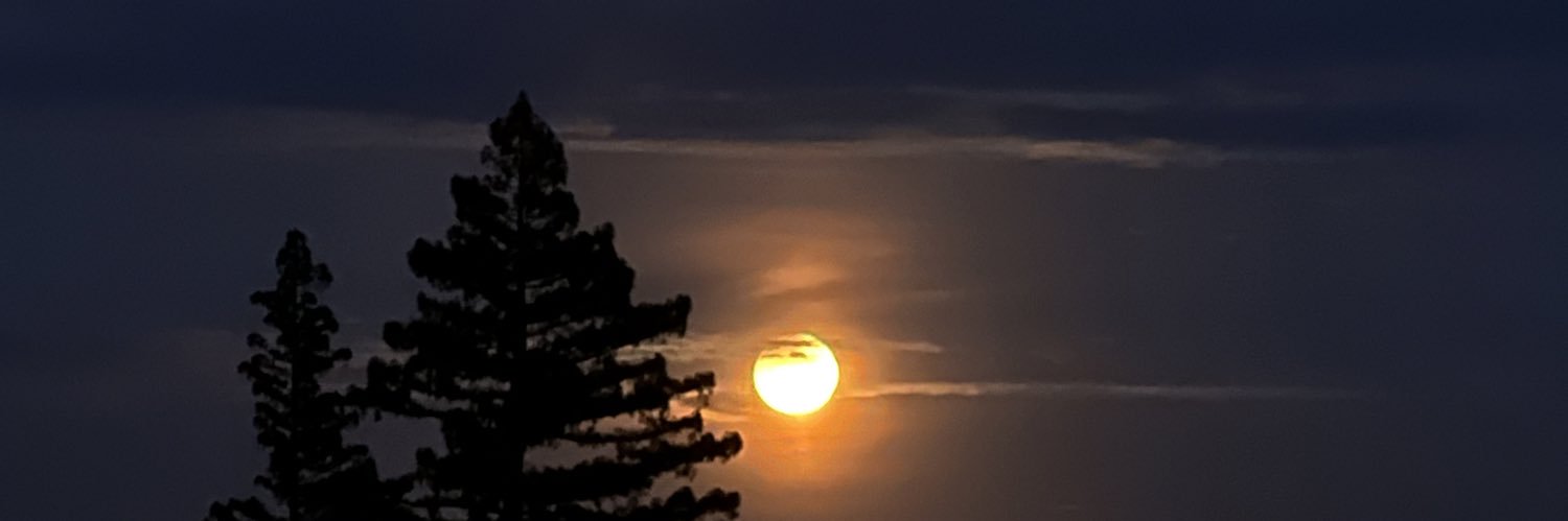 Celina 💃🏽 banner