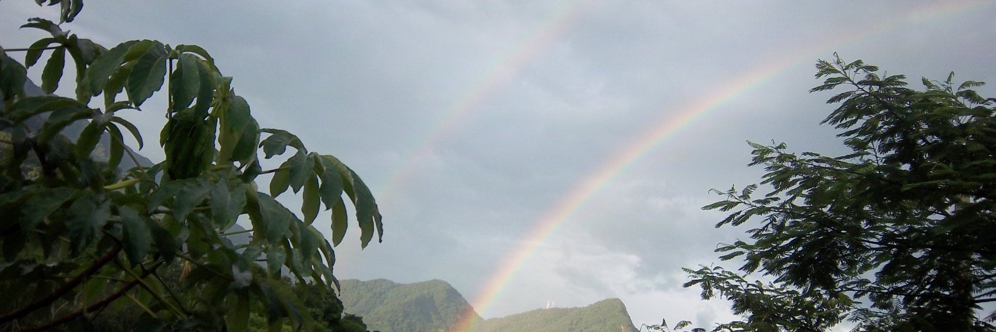 nonatomarujo's profile banner image