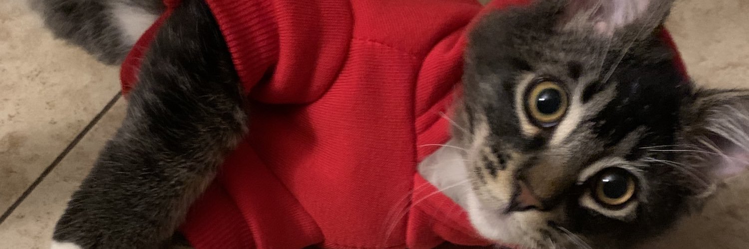 _bryanz33's profile banner image