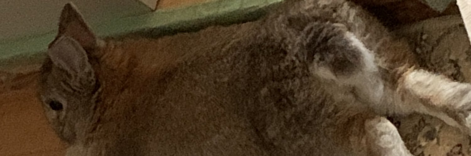 VactorKnj's profile banner image