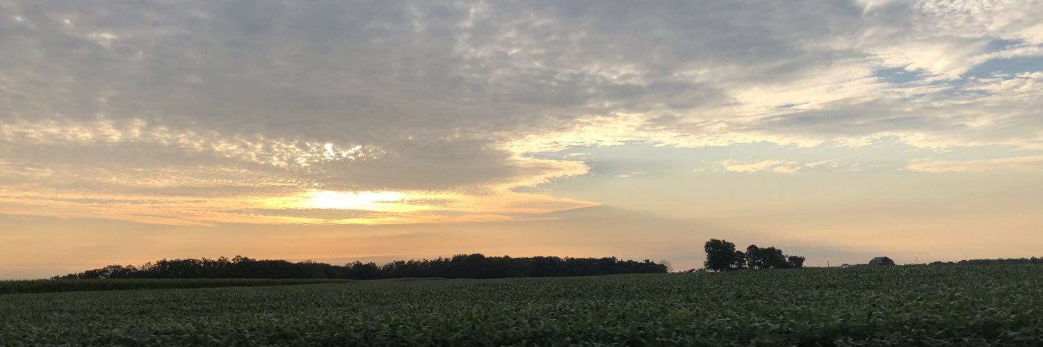 chlobird516's profile banner image