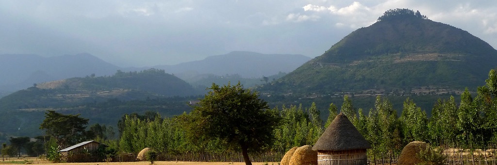 Annabella Shewarega banner