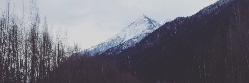 ericanperez11's profile banner image