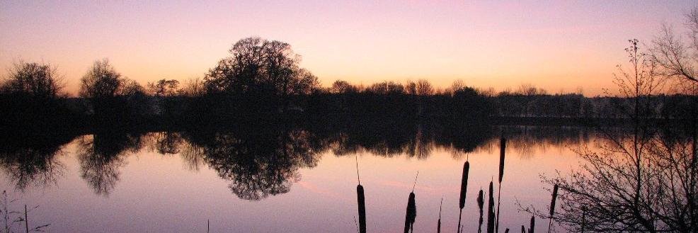 TheCarpForum's profile banner image