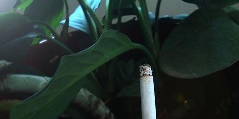 mathiasallgdr's profile banner image