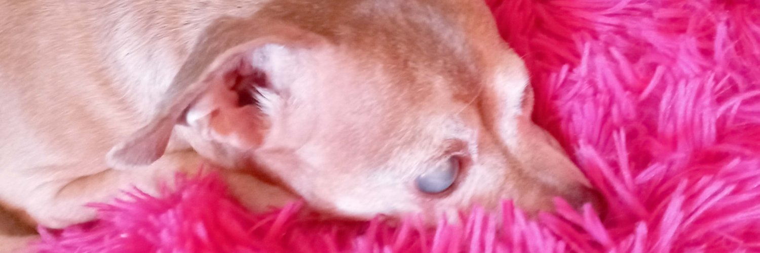 BardleyMayhem's profile banner image