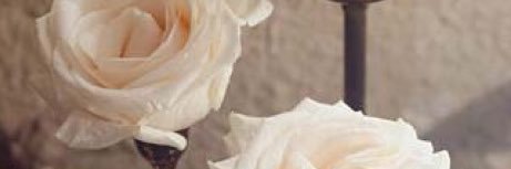 Gel_Jessicaa's profile banner image