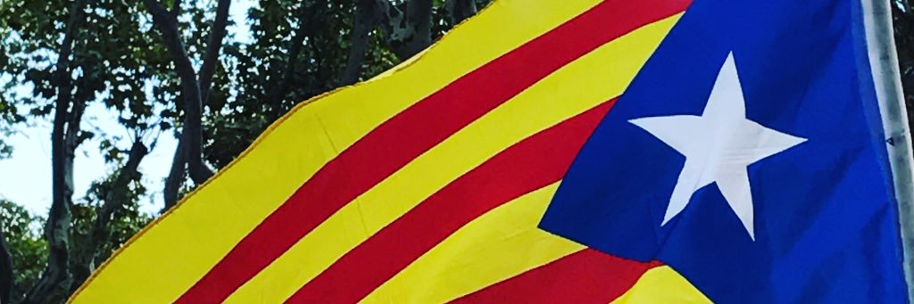 carmeta_rc's profile banner image