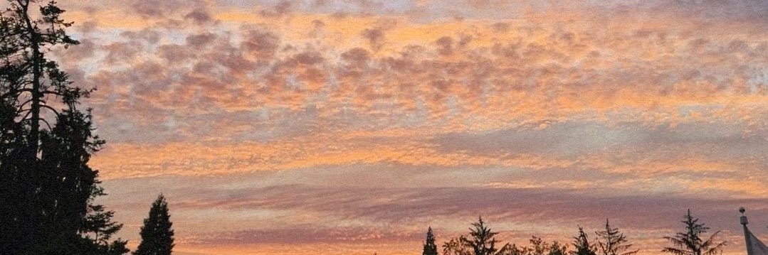 sarah 💗 banner