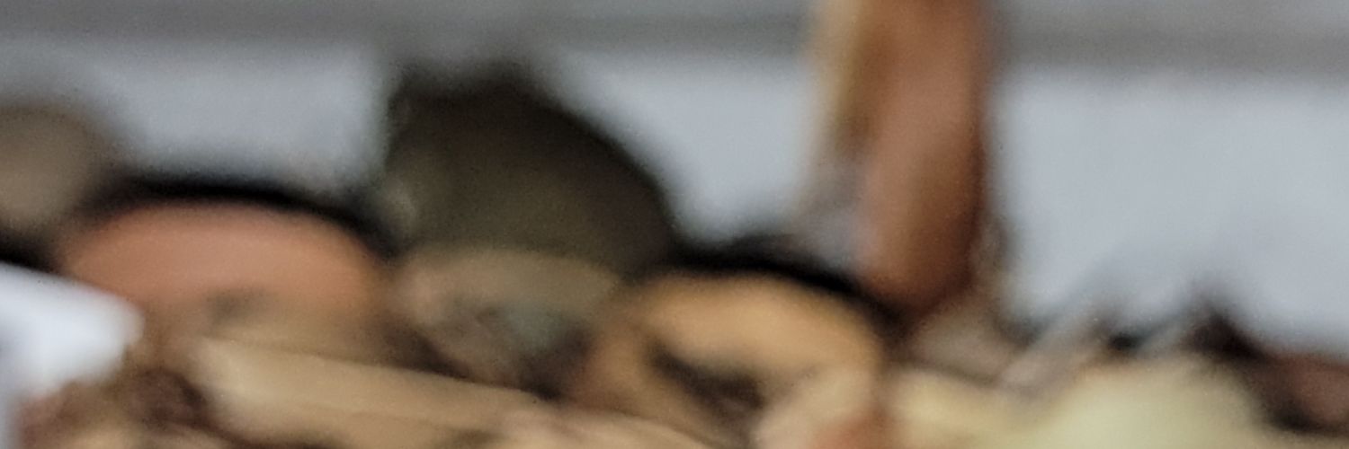 erinvalve's profile banner image