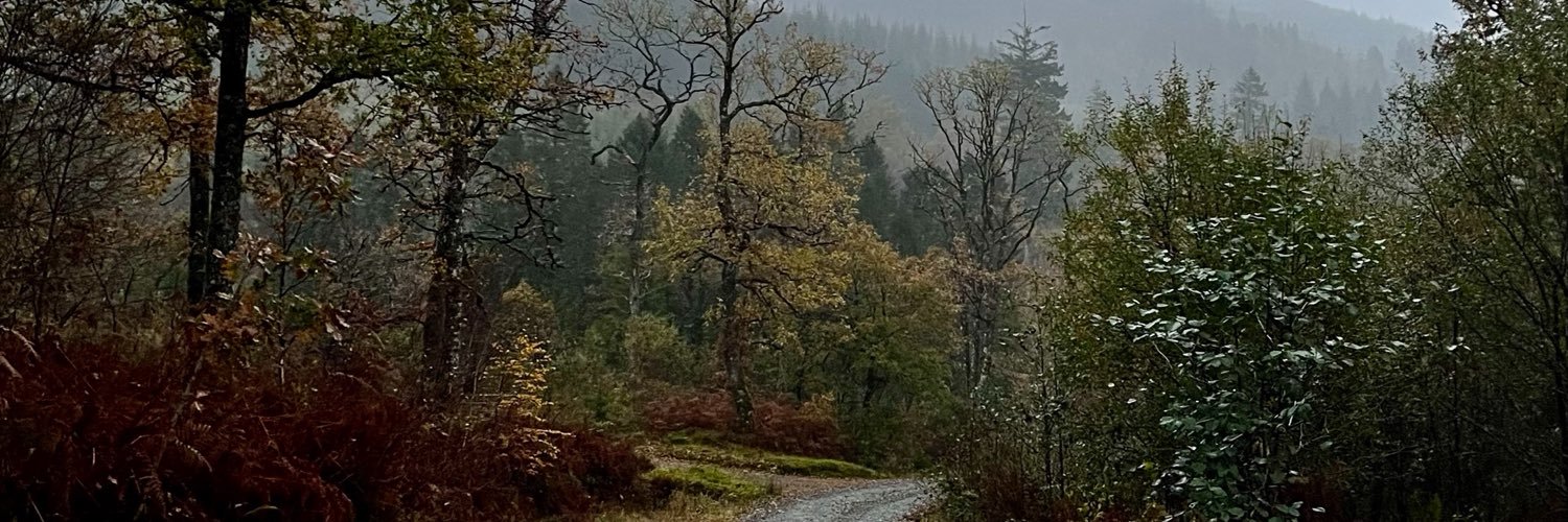Kev_Nealon's profile banner image