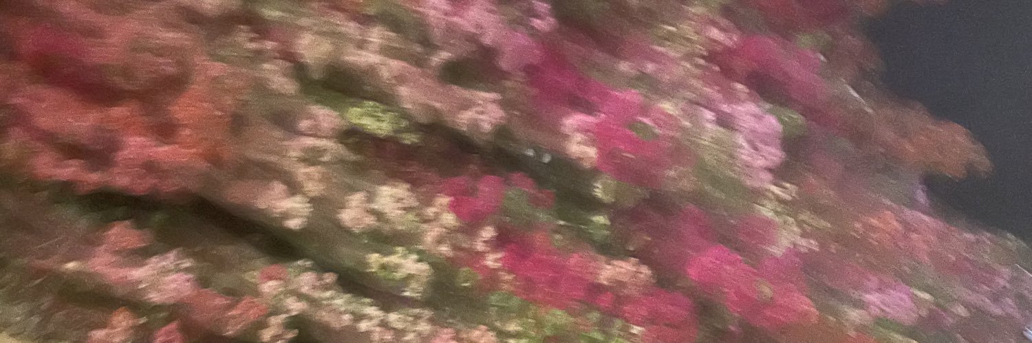MeganSloniker's profile banner image