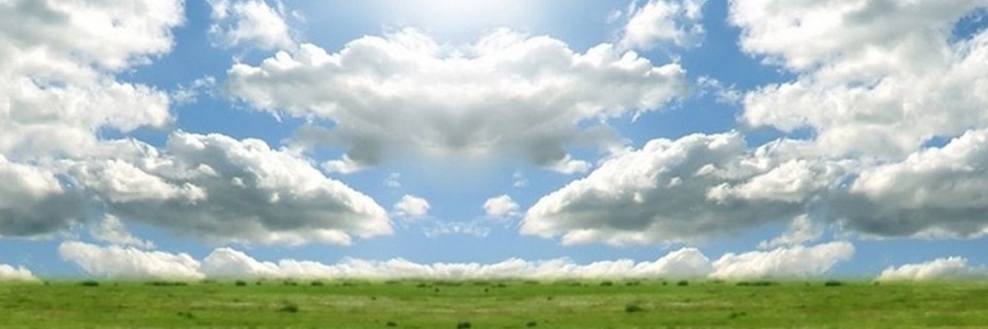 Carlos Alonso banner
