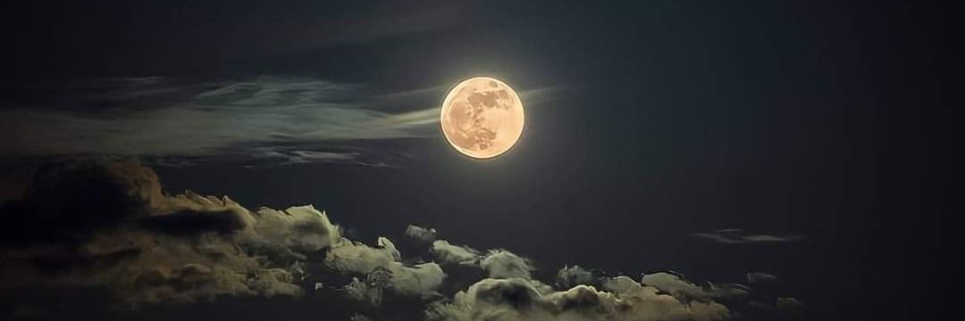 Mina_A_Adeeb's profile banner image