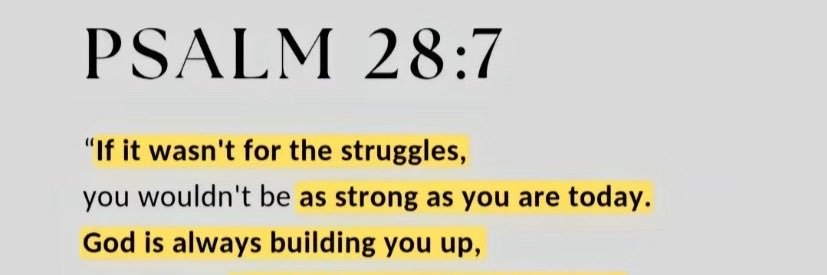 🏴󠁧󠁢󠁳󠁣󠁴󠁿Zaylle's Dad🇲🇼 banner