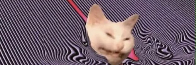beansaf's profile banner image