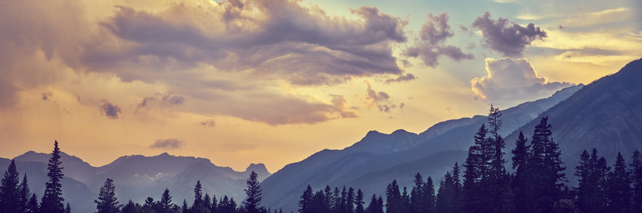 d_sowards's profile banner image