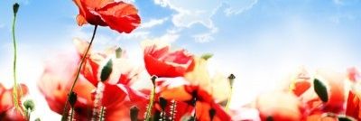 kat8811's profile banner image