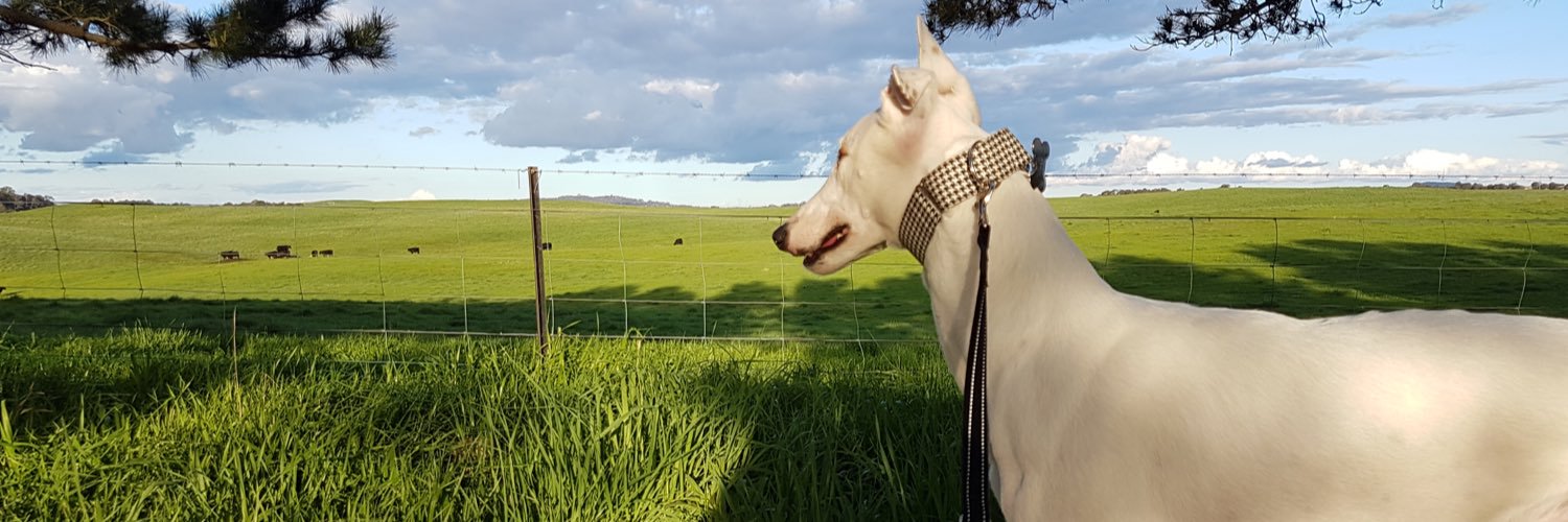 TweeterFi's profile banner image