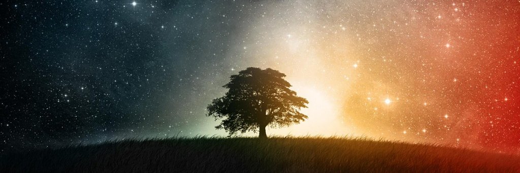 Breyner Prins banner