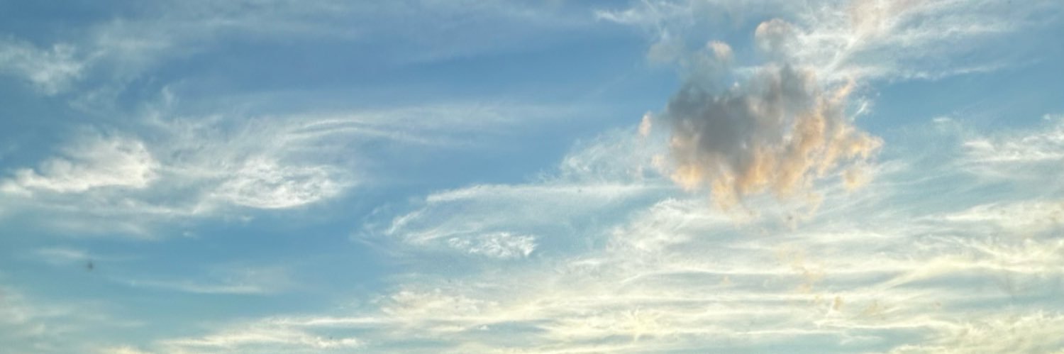 RenattaRodriigz's profile banner image
