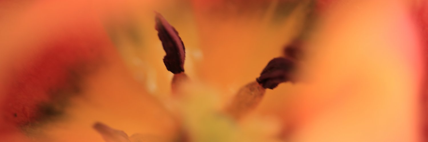 Claire Barrett banner