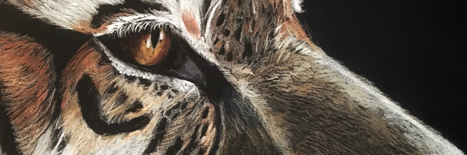 NiniTifo's profile banner image