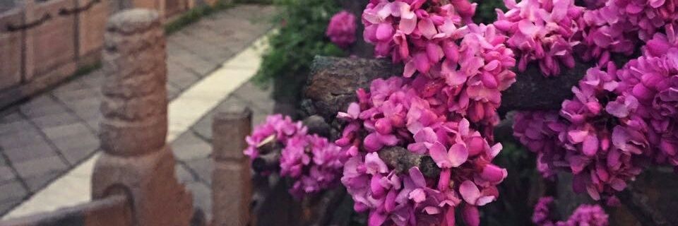 VeroAdrita's profile banner image