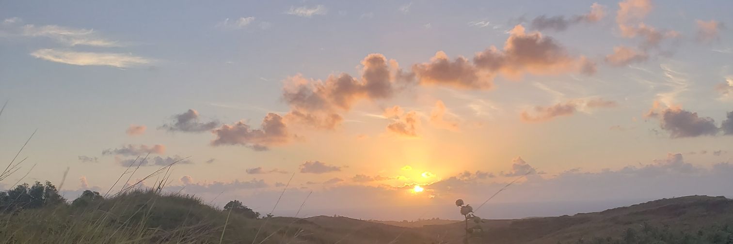 lujandrew_'s profile banner image