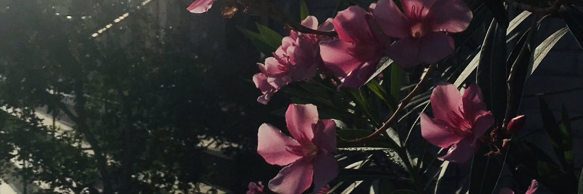huqil's profile banner image