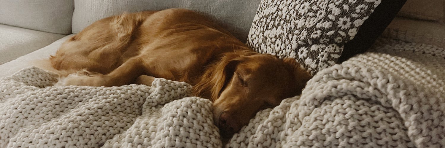 graceh18_'s profile banner image