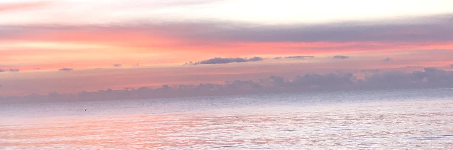 aroizao's profile banner image