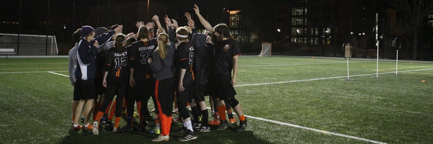 RITQuidditch's profile banner image