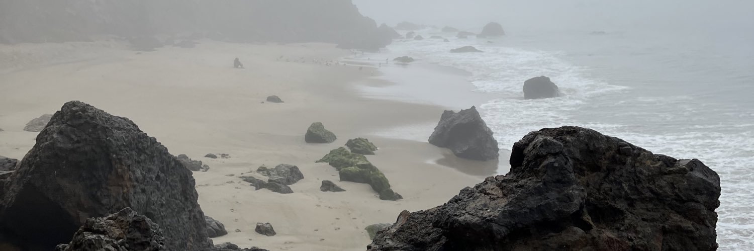 Suede banner