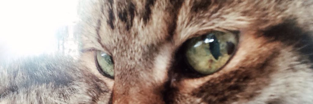 aydinbulut7's profile banner image